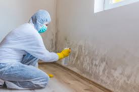 Best Commercial Mold Inspection in Hayfield, MN