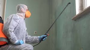  Hayfield, MN Mold Removal Pros