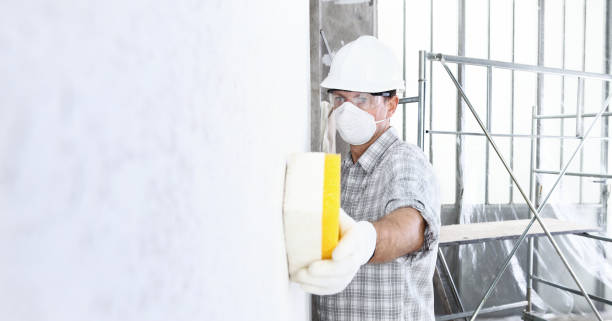 Why You Should Choose Our Mold Remediation Services in Hayfield, MN