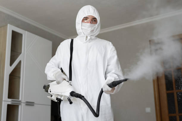 Best Mold Prevention Services in Hayfield, MN